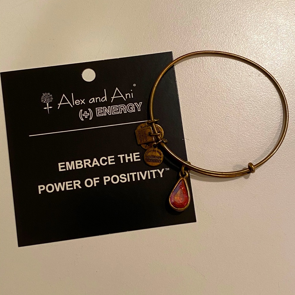 Alex and Ani Gold Power of Positivity Bangle Pink